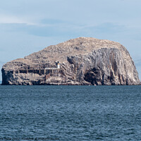 Buy canvas prints of Bass Rock by chris hyde