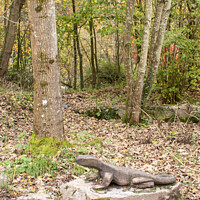 Buy canvas prints of Komodo Dragon Sculpture in Woodland by chris hyde