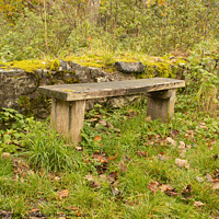 Buy canvas prints of Woodland Bench  by chris hyde