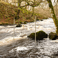 Buy canvas prints of White Water Rapids by chris hyde