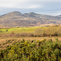 Buy canvas prints of Welsh Mountains by chris hyde