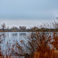 Buy canvas prints of MANEA PIT WINTER SCENE by Murray Croft