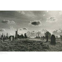 Buy canvas prints of The Necropolis (Glasgow) by Michael Angus