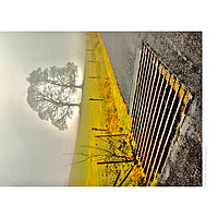 Buy canvas prints of Tree and Grate (Glen Fruin [Scotland]) by Michael Angus