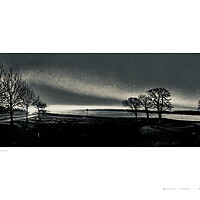 Buy canvas prints of Trees at Kidston Park (Helensburgh) by Michael Angus