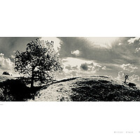 Buy canvas prints of Little and Large (Cumbria [England]) by Michael Angus
