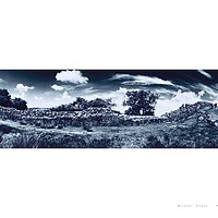 Buy canvas prints of Hadrian’s Wall (Cumbria [England]) by Michael Angus
