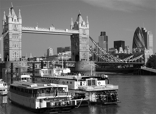 Tower bridge paddle boats Picture Board by David French