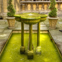 Buy canvas prints of Wishing fountain by David French