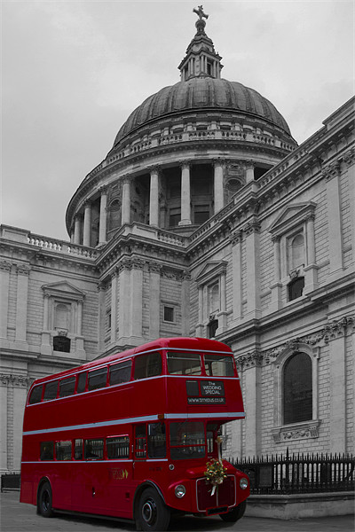 Red Bus and St Pauls Picture Board by David French