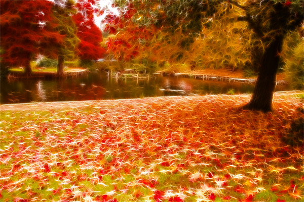 Autumn fractals leafs Picture Board by David French