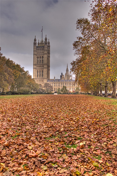 Autumn leafs Houses of Parliament HDR Picture Board by David French