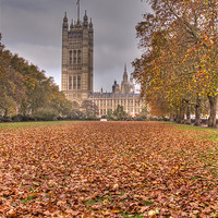 Buy canvas prints of Autumn leafs Houses of Parliament HDR by David French