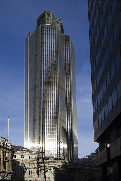 Tower 42 London Picture Board by David French