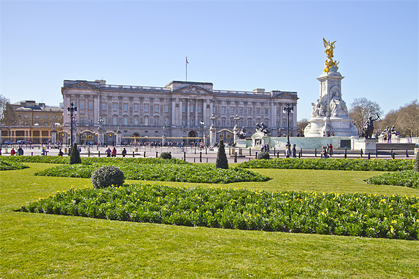 Buckingham Palace Picture Board by David French
