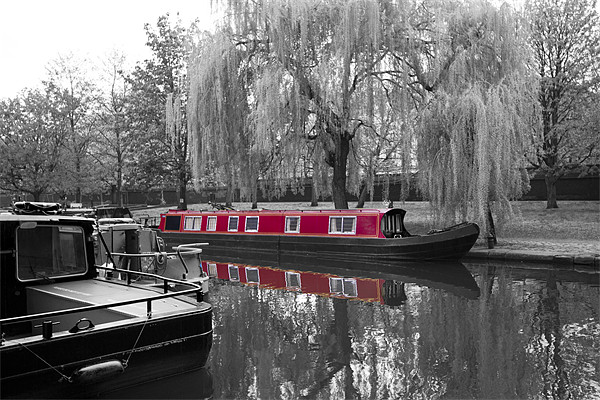 Regents Canal narrow boats bw Picture Board by David French