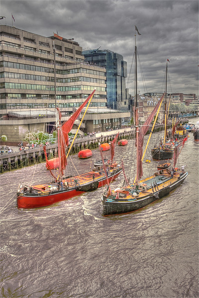 Thames Barges Tower Bridge 2012 Picture Board by David French