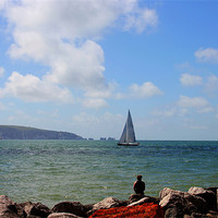 Buy canvas prints of Hurst Point watching by David French