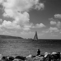 Buy canvas prints of Hurst Point watching bw by David French