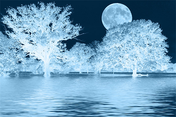 Blue Moon landscape Picture Board by David French