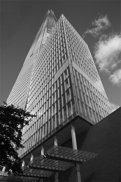 The Shard skyline BW Picture Board by David French