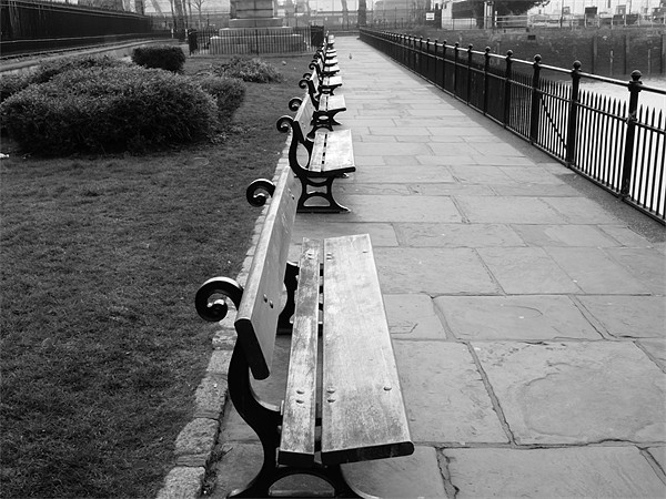 Park Benches  Picture Board by David French