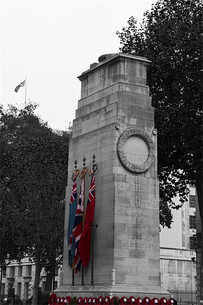 Cenotaph Poppy Day Picture Board by David French