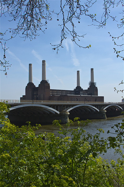 Battersea Power Station Picture Board by David French