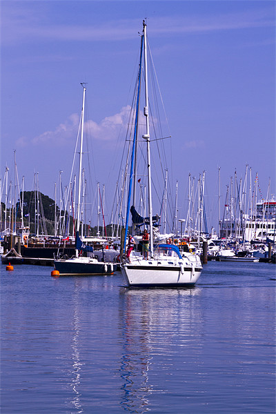 Lymington Hampshire Picture Board by David French