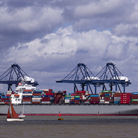Buy canvas prints of Felixstowe container docks by David French