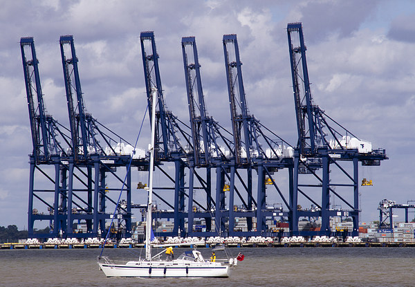 Felixstowe container docks Picture Board by David French