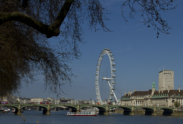 Westminster  Bridge London Eye Picture Board by David French