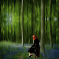 Buy canvas prints of Red Head in Blue Bell wood  Art Digital art by David French