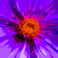 Buy canvas prints of  Flower Explosion Colour by David French