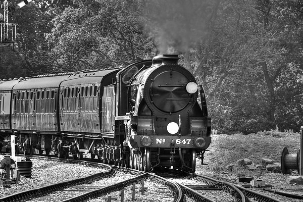 Steam Trains bw  Picture Board by David French