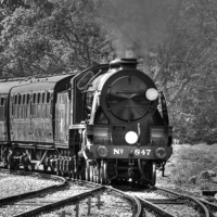 Buy canvas prints of Steam Trains bw  by David French