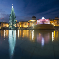 Buy canvas prints of Christmas  Tree Trafalgar Square by David French