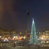 Buy canvas prints of Christmas  Tree Trafalgar Square by David French