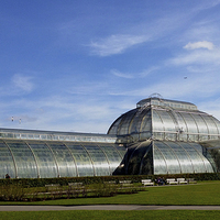 Buy canvas prints of Kew'Palm House by David French