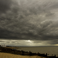 Buy canvas prints of Whitstable fishing village by David French