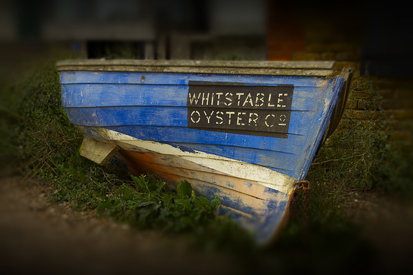 Whitstable Oysters Picture Board by David French