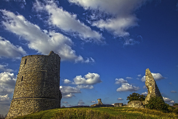 Hadleigh Castle Essex Picture Board by David French