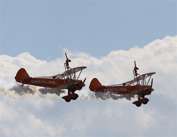 Wingwalkers air display Picture Board by David French
