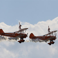 Buy canvas prints of Wingwalkers air display by David French