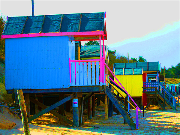 Beach Huts Picture Board by David French