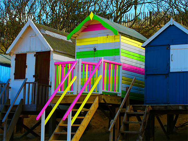 Beach Huts Picture Board by David French