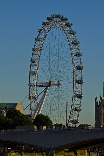 London eye Picture Board by David French