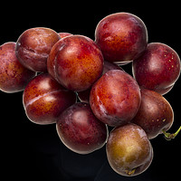 Buy canvas prints of Victoria Plums by David French