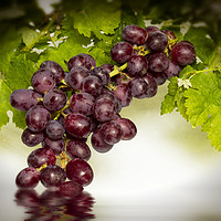 Buy canvas prints of Krissy Gold Grapes by David French