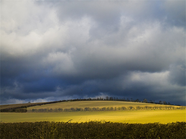 Fields and stormy weather Picture Board by David French